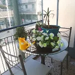 Apartment Sweet And Cozy By Sasa Thessaloniki